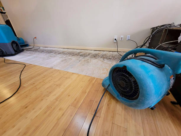 Professional Structural Drying technician working in Sherborn, MA